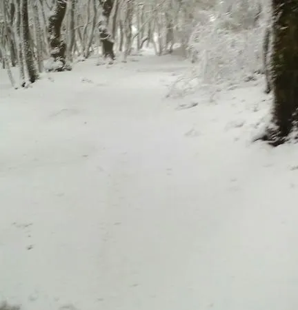 Отель типа 