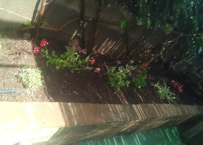 住宿加早餐酒店 Il Tarlo