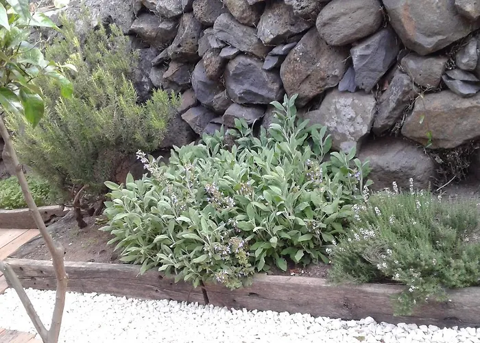 Il Tarlo 住宿加早餐酒店 *