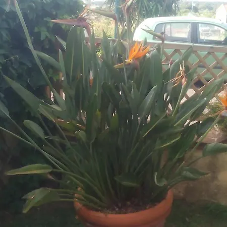 Bed & Breakfast Il Tarlo *