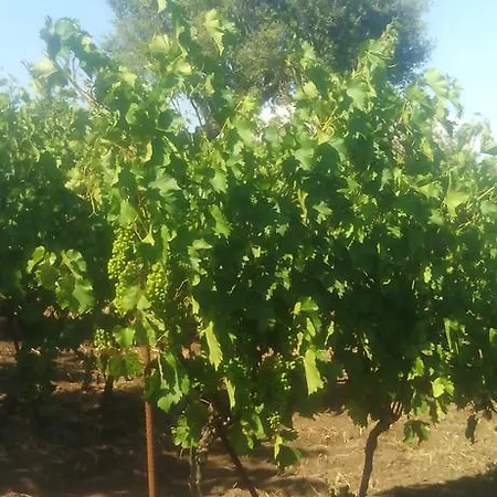 Bed & Breakfast Il Tarlo *