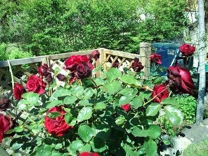 Il Tarlo Bed & Breakfast