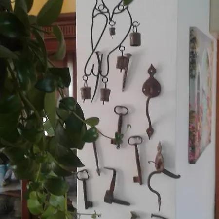 Il Tarlo * Seneghe