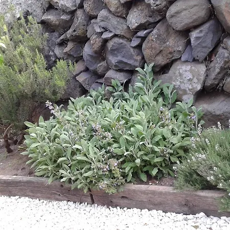 Il Tarlo Bed & Breakfast *