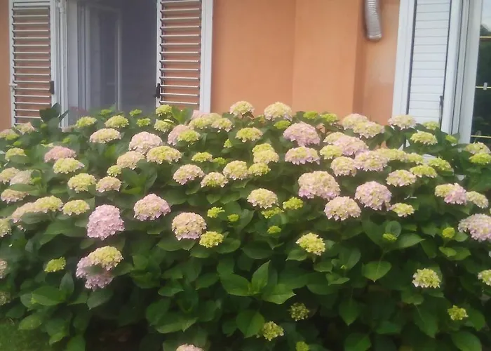 Nocleg ze śniadaniem Il Tarlo *